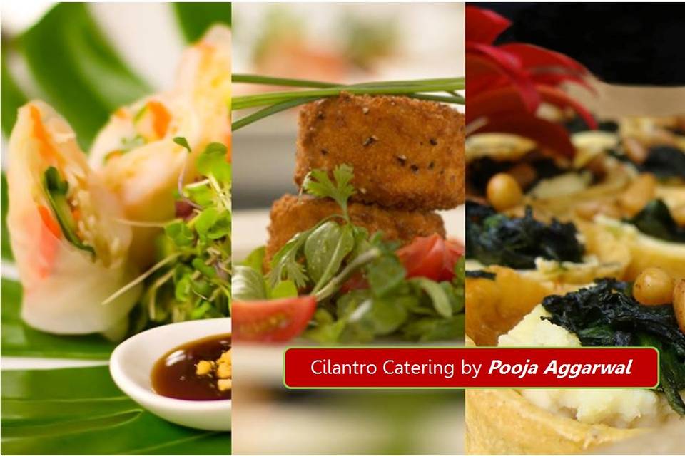 Cilantro Catering