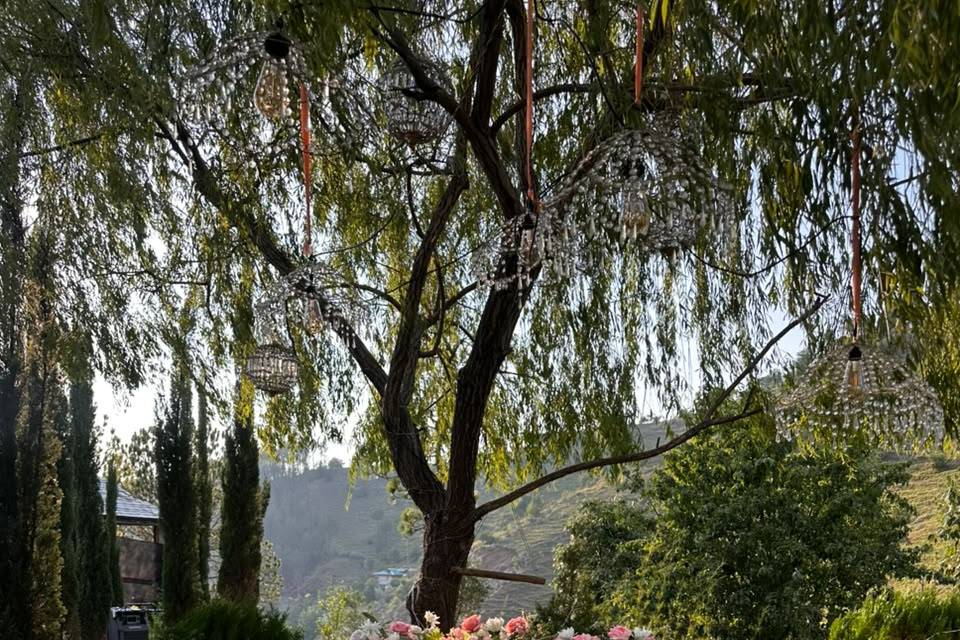 Wedding decor