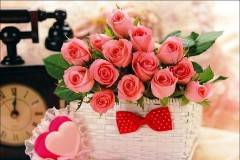 Ferns N Petals - Florist & Gift Shop, Ashok Vihar, Delhi