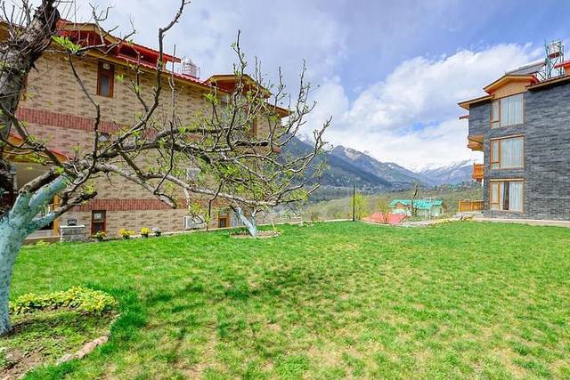 Lawn area