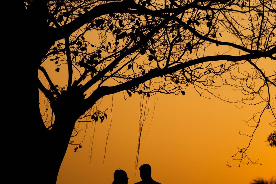 Wedding photography