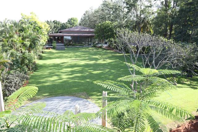 Lawn area