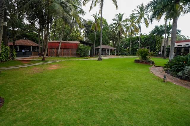 Lawn area