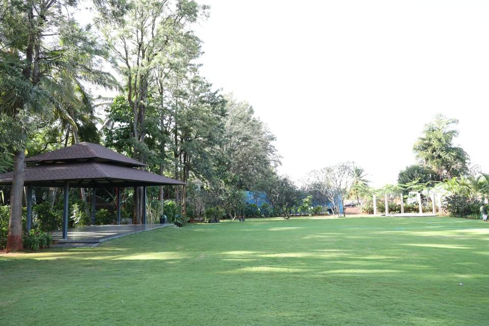 Lawn area