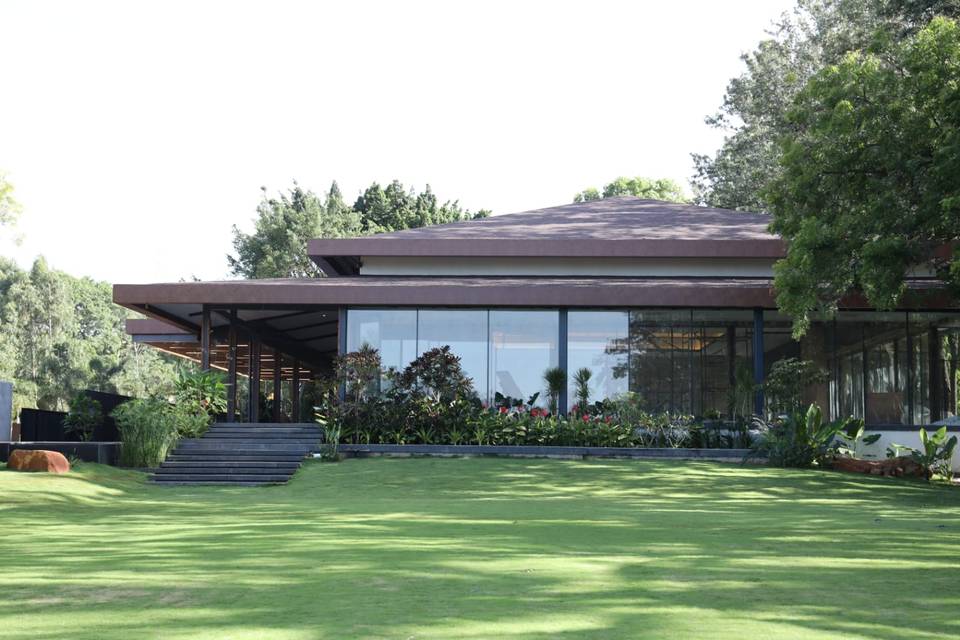Lawn area