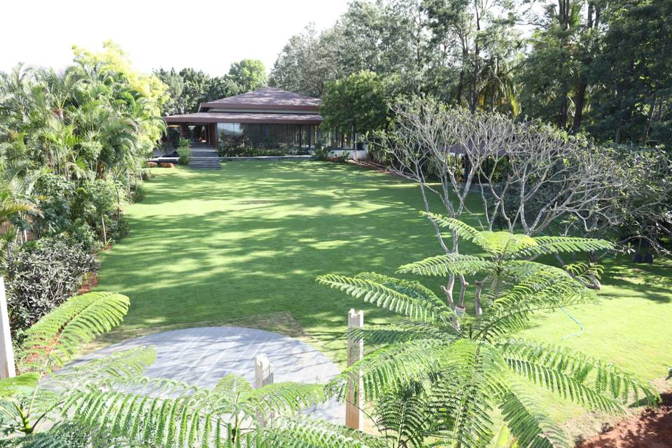 Lawn area