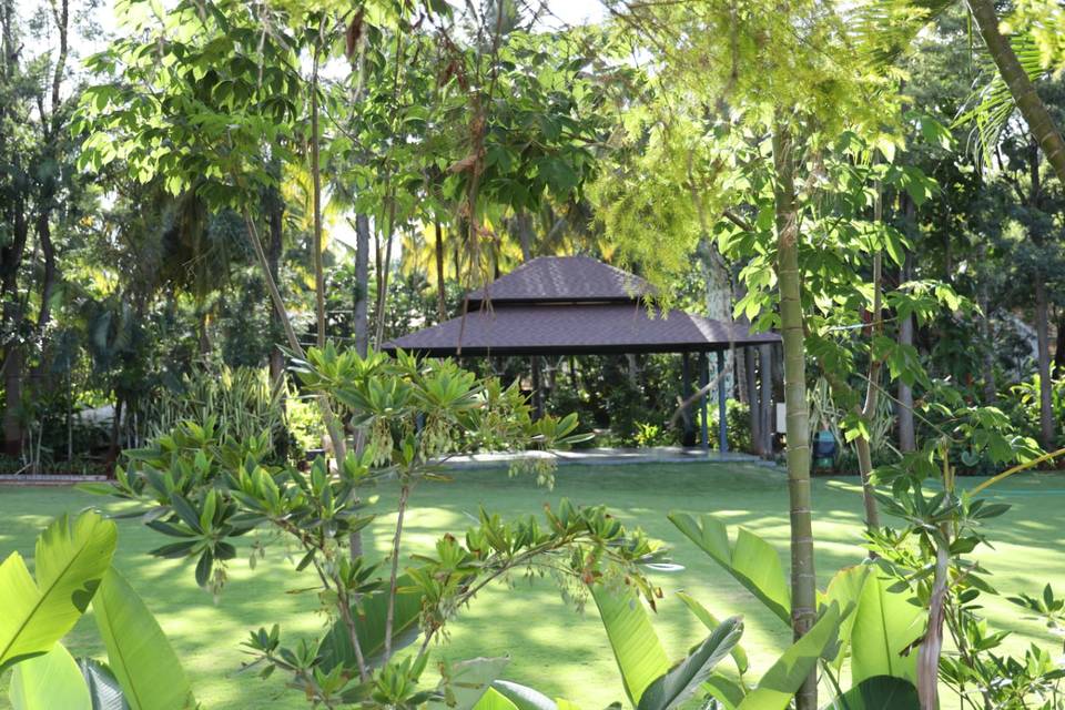 Lawn area