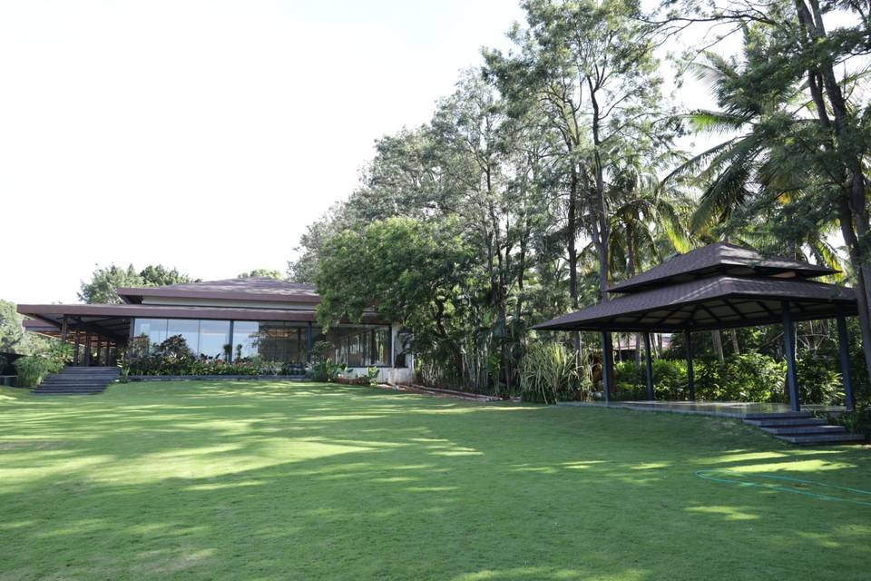 Lawn area