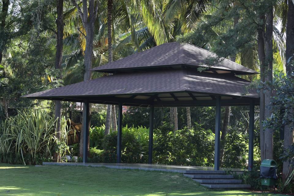 Lawn area