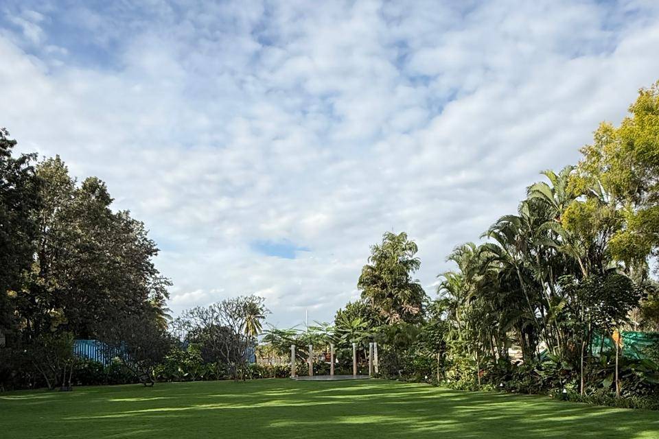 Lawn area