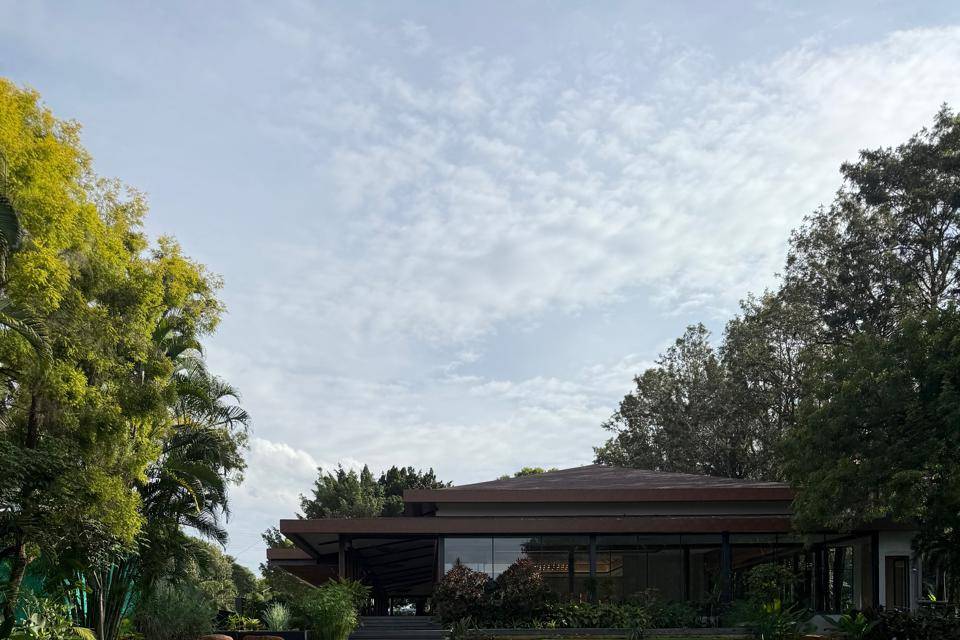 Lawn area