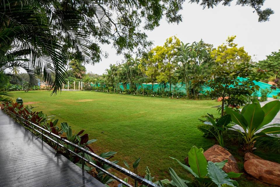 Lawn area