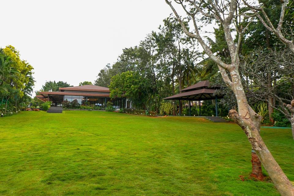 Lawn area