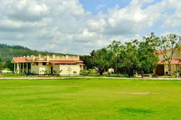 Lawn area