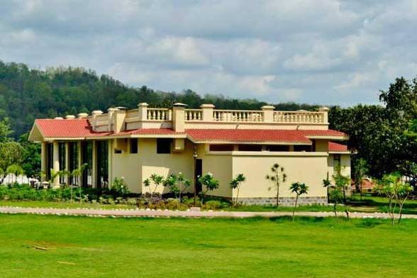Lawn area