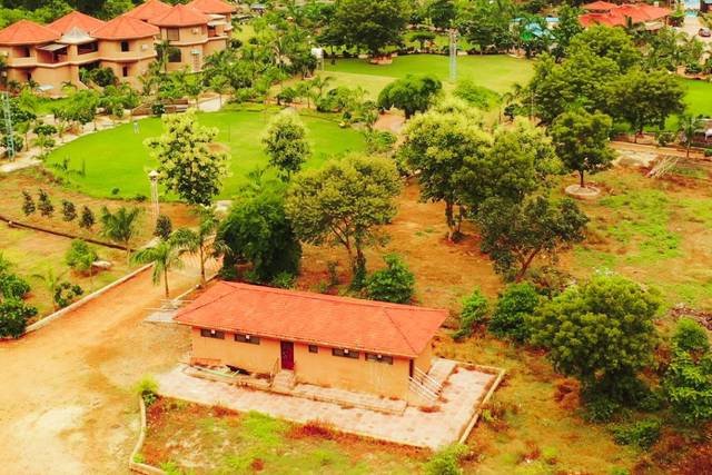 Lawn area