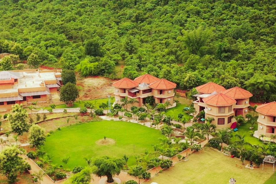 Lawn area