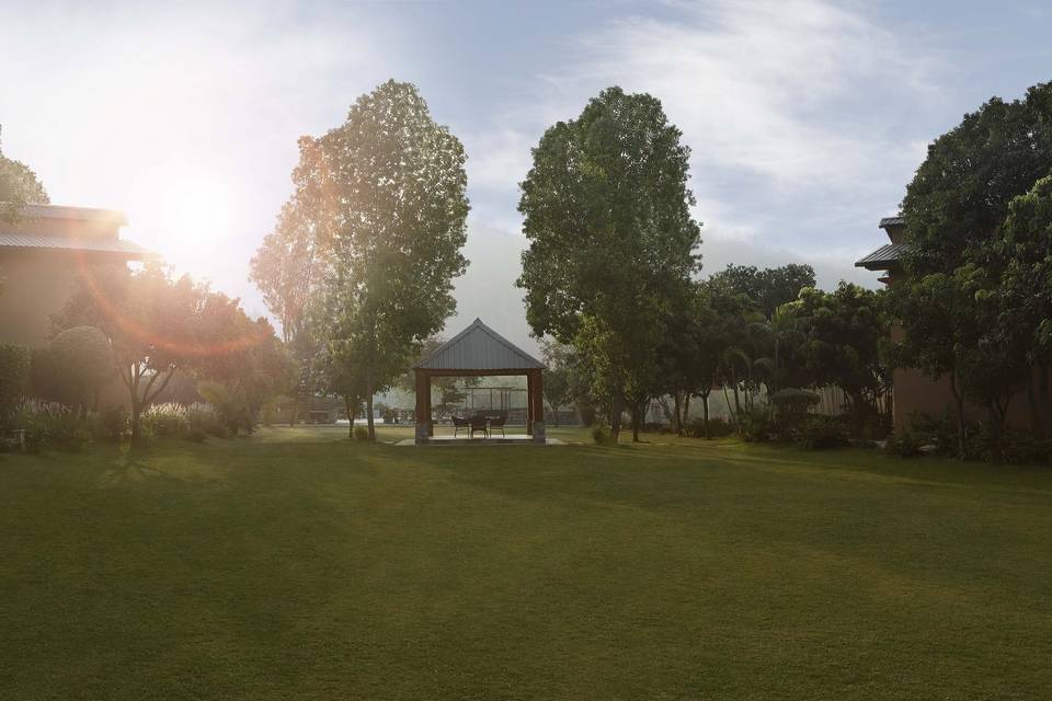 Lawn area