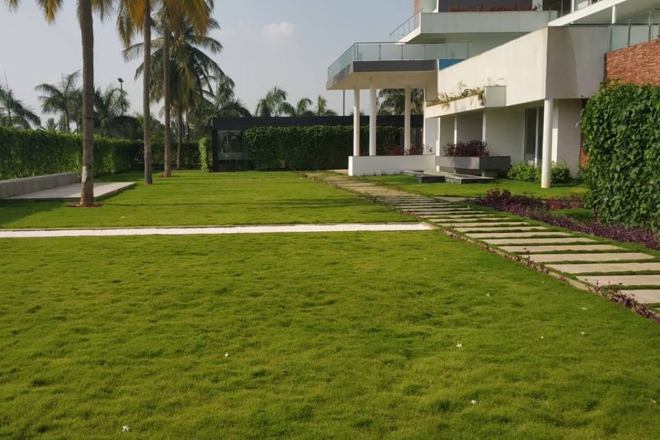 Lawn Area