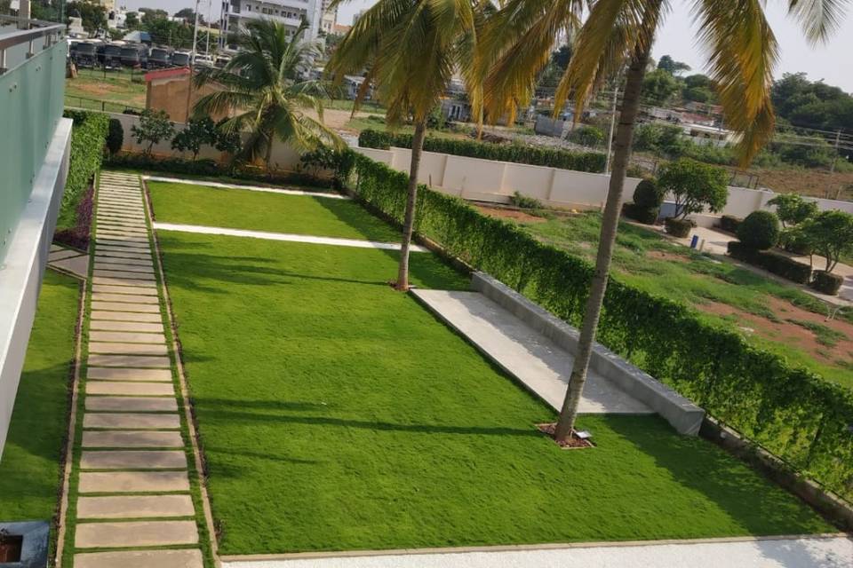 Lawn Area