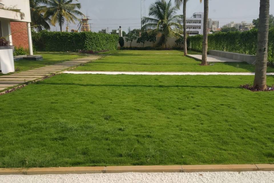 Lawn Area