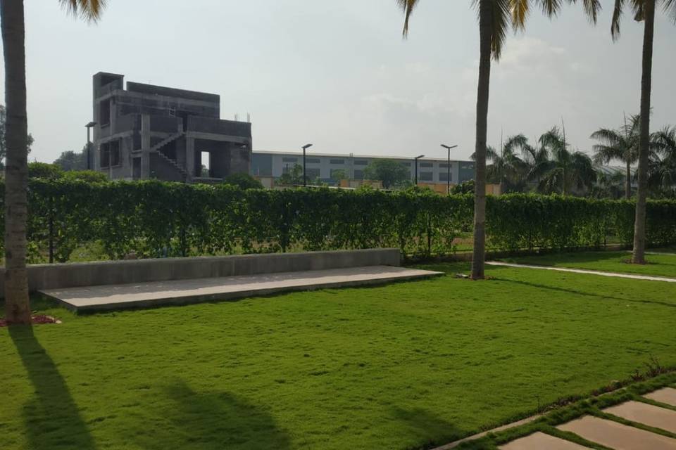 Lawn Area