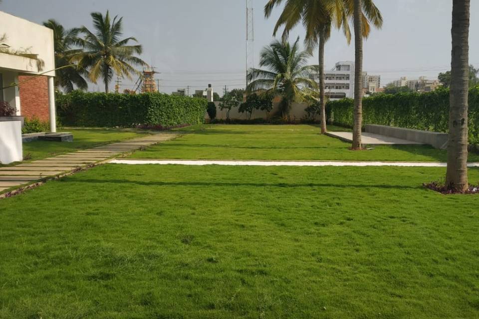 Lawn Area