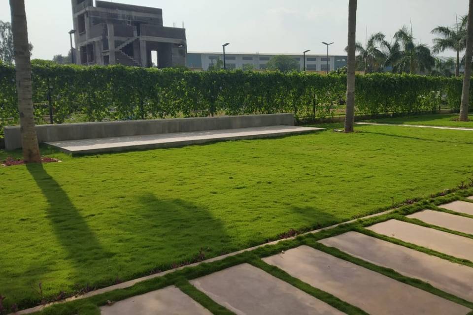 Lawn Area