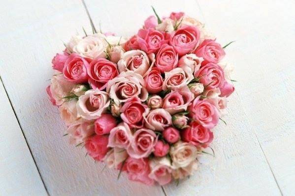Ferns N Petals - Florist & Gift Shop, Shalimar Bagh