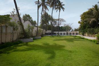 Lawn area