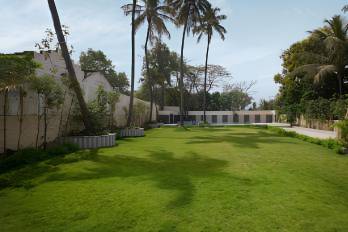 Lawn area