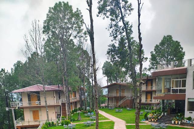 Lawn area
