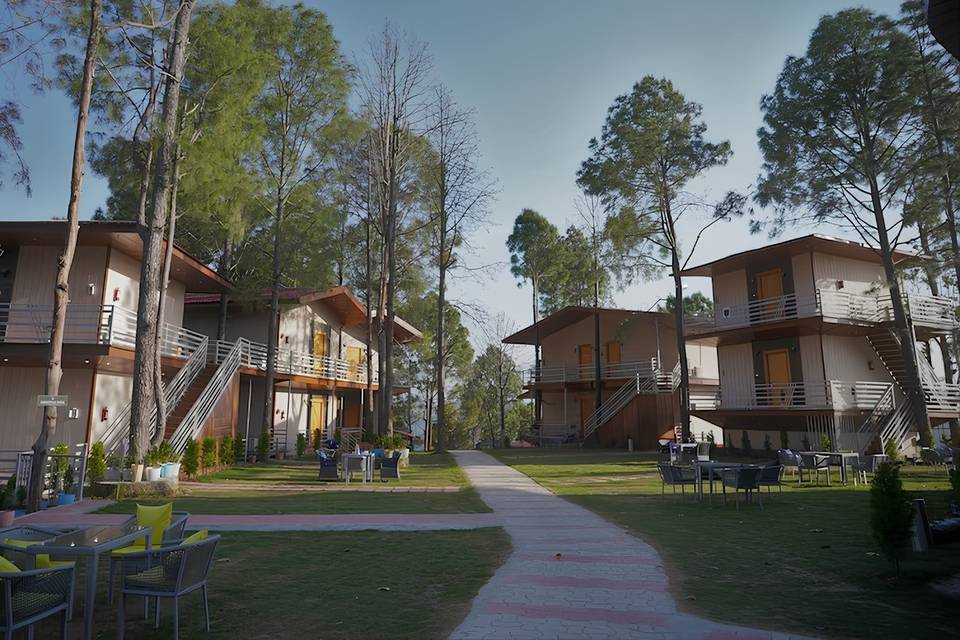 Lawn area