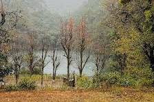 Lake view