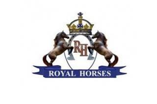 New royal horses logo