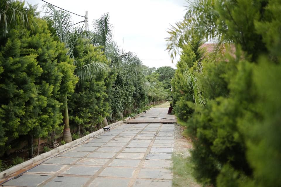 Pathway