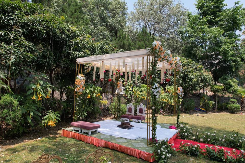 Wedding Decor
