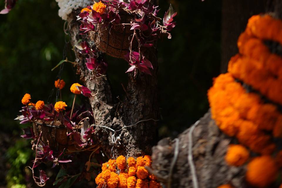 Haldi decor