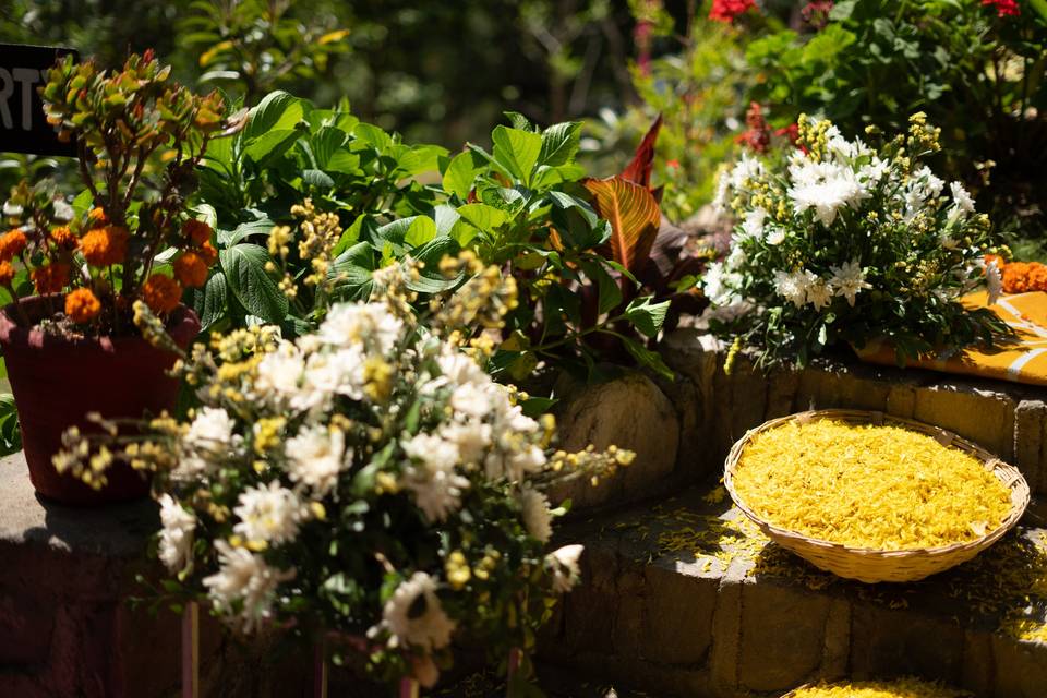 Haldi decor