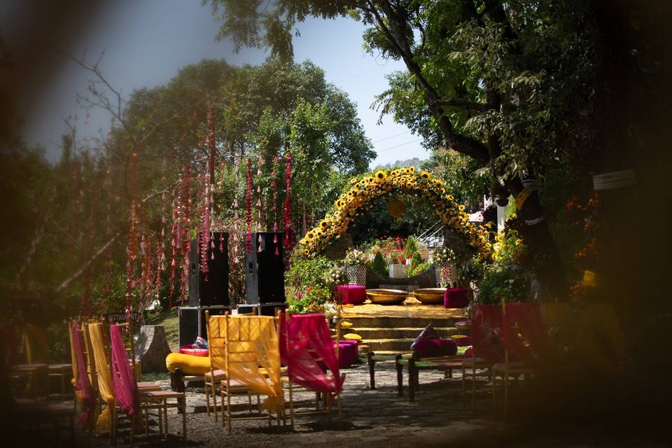 Haldi decor