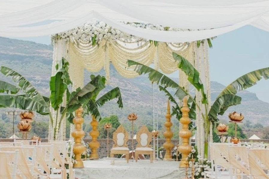 Weddx Entertainment portfolio