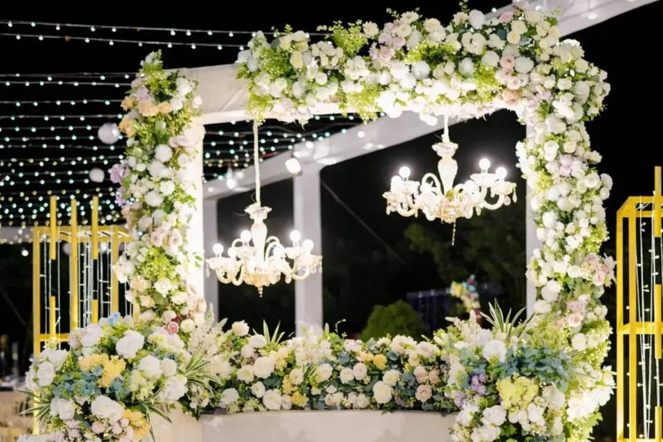 Weddx Entertainment portfolio