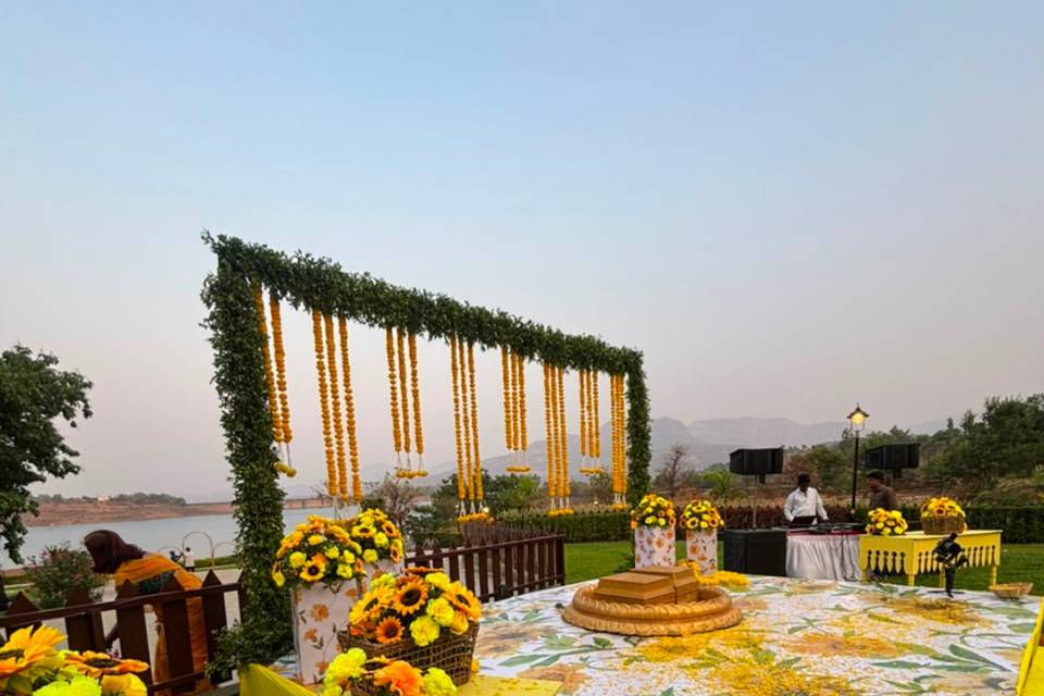 Weddx Entertainment portfolio
