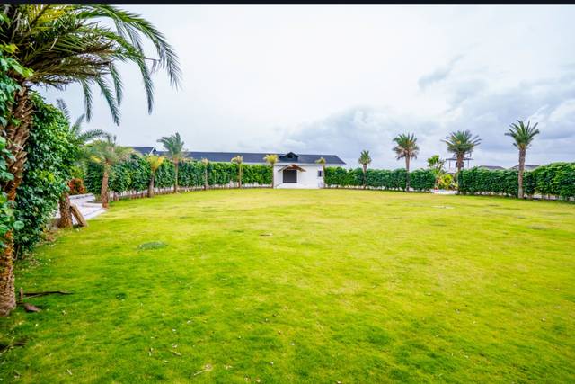 Lawn