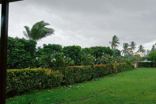 Dining lawn