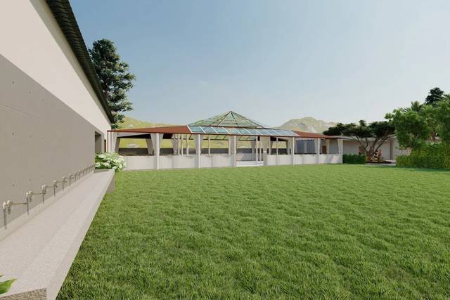 Lawn area