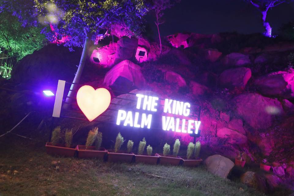The King Palm Valley