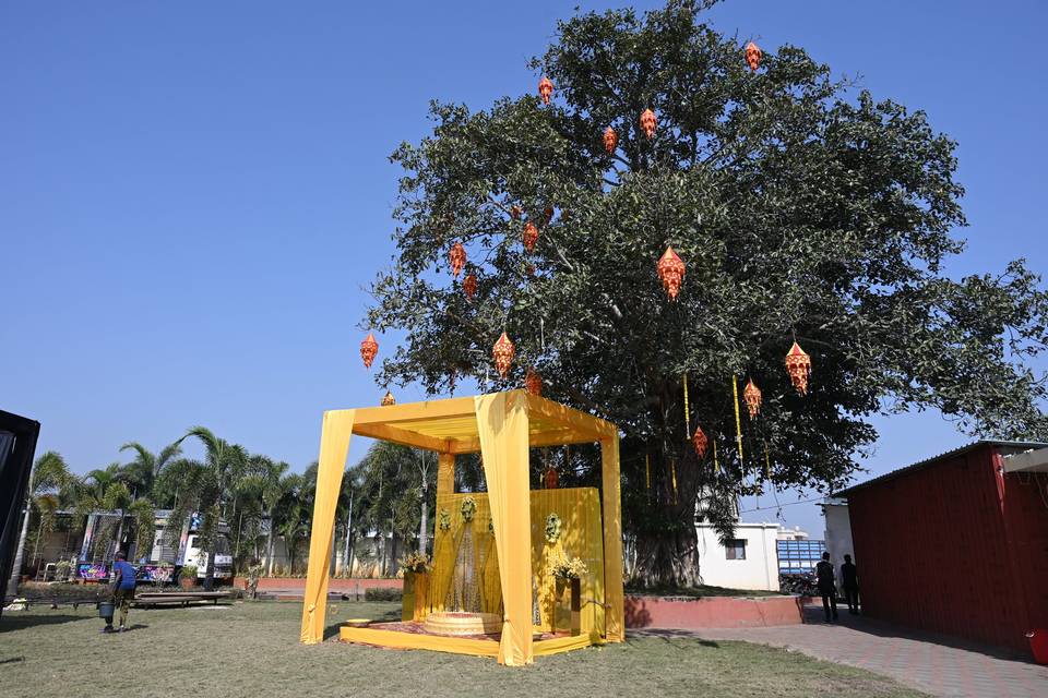 Wedding decor