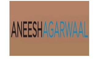 Aneesh Agarwaal