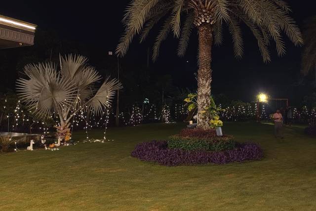 Lawn area